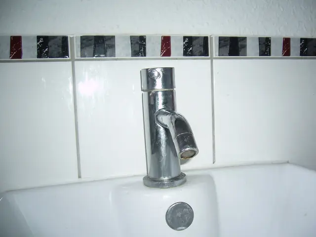 Caño ganso eco